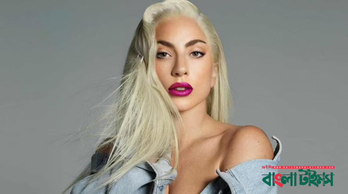 Lady Gaga hints quitting limelight after 15 years